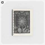 3-12_Ernst-Haeckel_memo