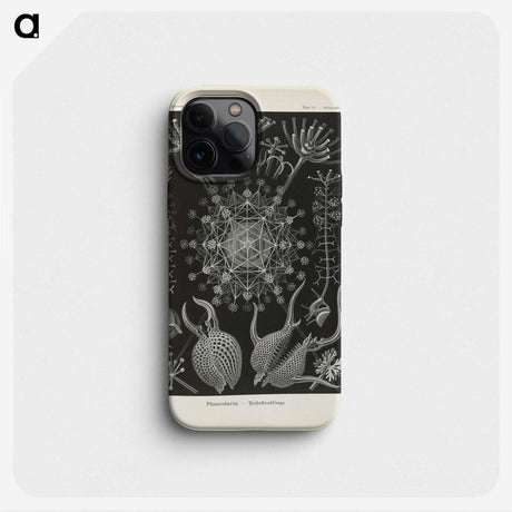 3-12_Ernst-Haeckel_phone