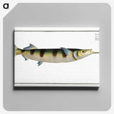 3-12_Ichtyologie-ou-Histoire-naturelle_canvas