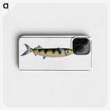 3-12_Ichtyologie-ou-Histoire-naturelle_phone