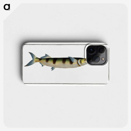 3-12_Ichtyologie-ou-Histoire-naturelle_phone