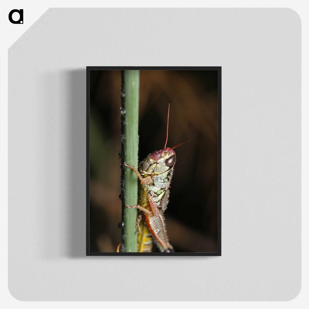 3-12_Insects-Unlocked-Project_blk-crop