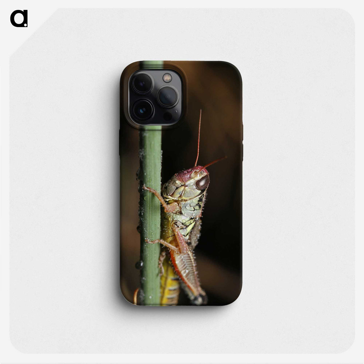 3-12_Insects-Unlocked-Project_phone