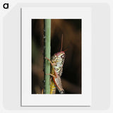 3-12_Insects-Unlocked-Project_picture