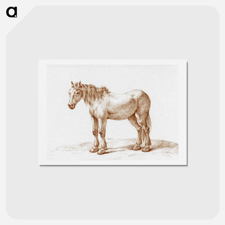 アートポストカード-Standing horse - ジャン ベルナール Postcard.