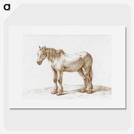 3-12_Jean-Bernard_picture