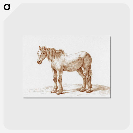 アートポストカード-Standing horse - ジャン ベルナール Postcard.