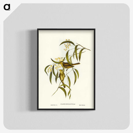 3-12_John-Gould_blk-crop
