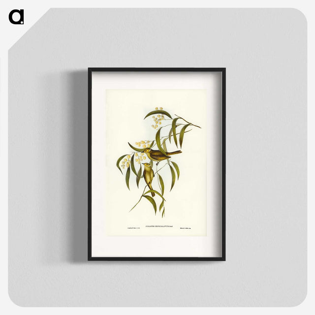 3-12_John-Gould_blk