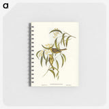 3-12_John-Gould_memo