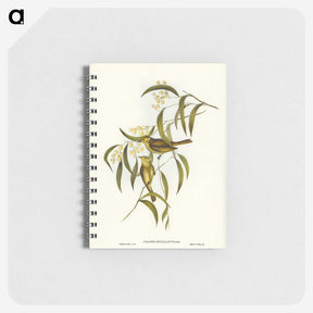 3-12_John-Gould_memo