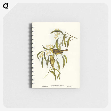 3-12_John-Gould_memo