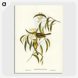3-12_John-Gould_picture-crop