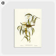 3-12_John-Gould_postcard