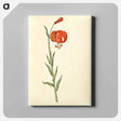 アートパネル-Red Turban Lily
 - マリア ジビーラ メーリアン Canvas.