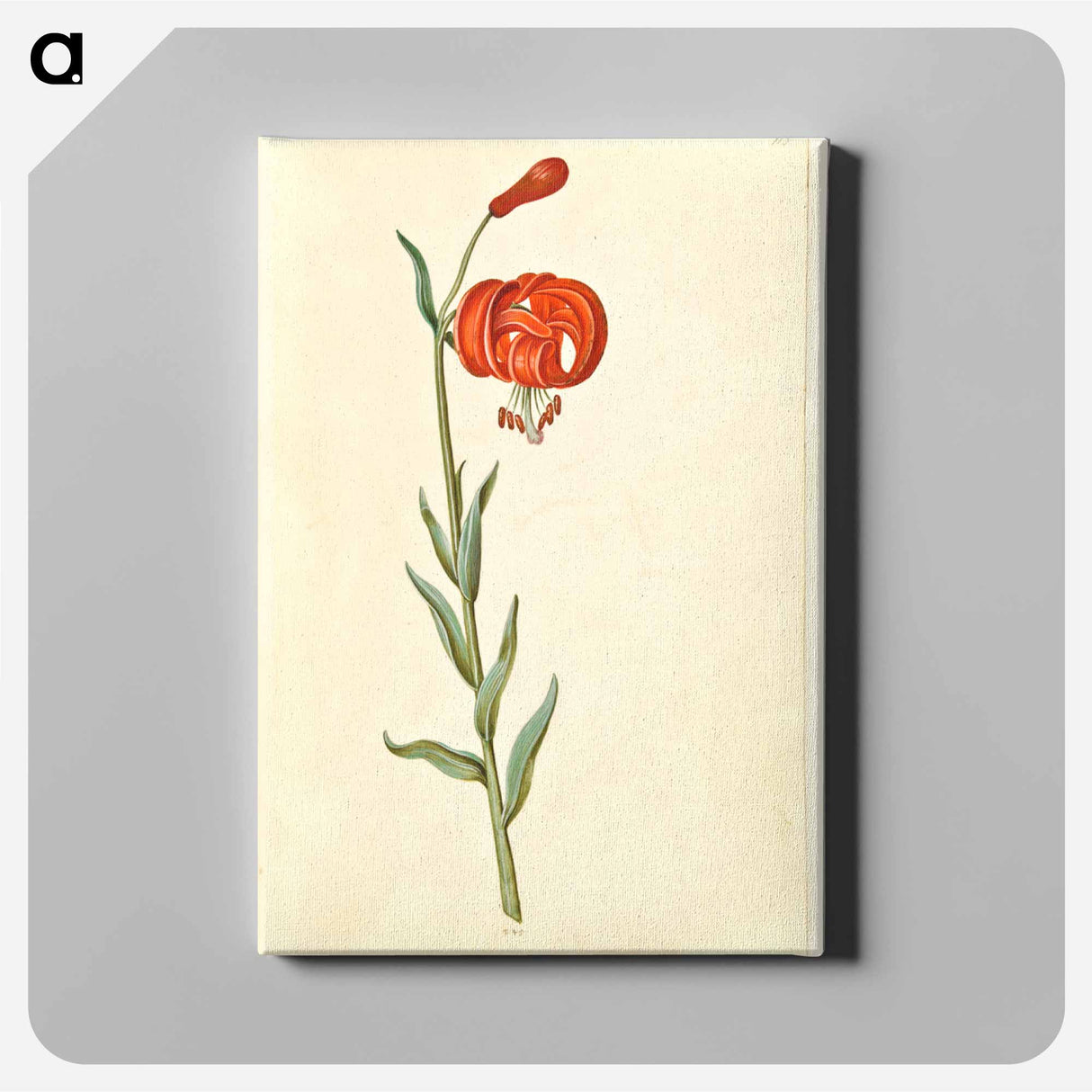 アートパネル-Red Turban Lily
 - マリア ジビーラ メーリアン Canvas.