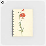 3-12_Maria-Sibylla-Merian_memo