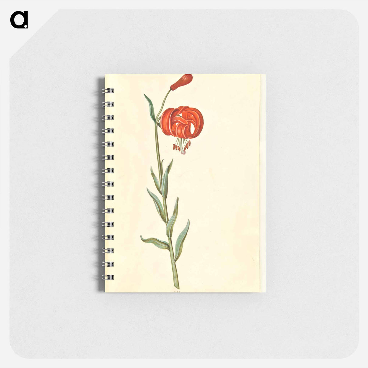アートメモ帳-Red Turban Lily
 - マリア ジビーラ メーリアン Memo.