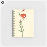 アートメモ帳-Red Turban Lily
 - マリア ジビーラ メーリアン Memo.