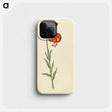 3-12_Maria-Sibylla-Merian_phone