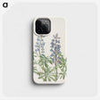 3-12_Mary-Vaux-Walcott_phone
