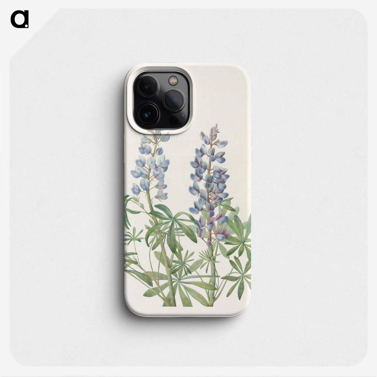 3-12_Mary-Vaux-Walcott_phone