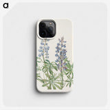 3-12_Mary-Vaux-Walcott_phone