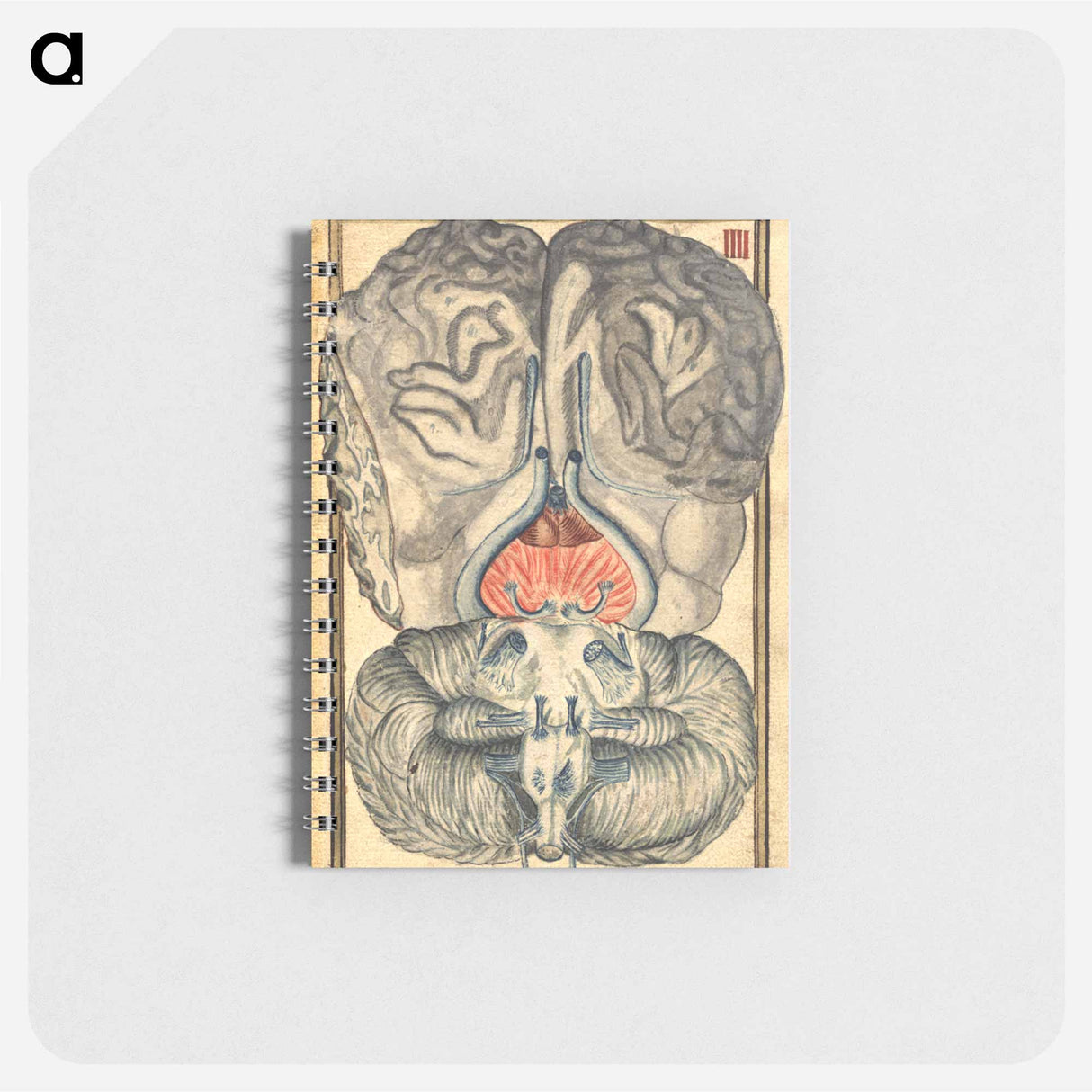 アートメモ帳-Cerebral Cross-Section
 - 国立医学図書館 Memo.
