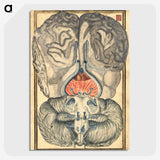 3-12_National-Library-of-Medicine_picture-crop