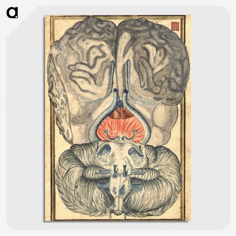 3-12_National-Library-of-Medicine_picture-crop