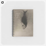 3-12_Odilon-Redon_memo