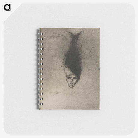 3-12_Odilon-Redon_memo