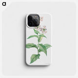 White gillyflower - ピエール ジョゼフ ルドゥーテ Phone Case.