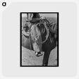 アートポストカード-Cowboy Regalia
 - ラッセル リー Postcard.
