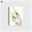 アートメモ帳-Black-Throated Bunting from Birds of America
 - アメリカの鳥たち Memo.