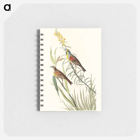 アートメモ帳-Black-Throated Bunting from Birds of America
 - アメリカの鳥たち Memo.