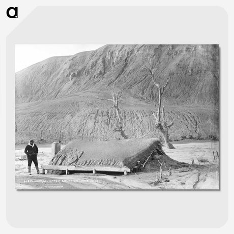 3-12_The-Burton-Brothers_picture-crop