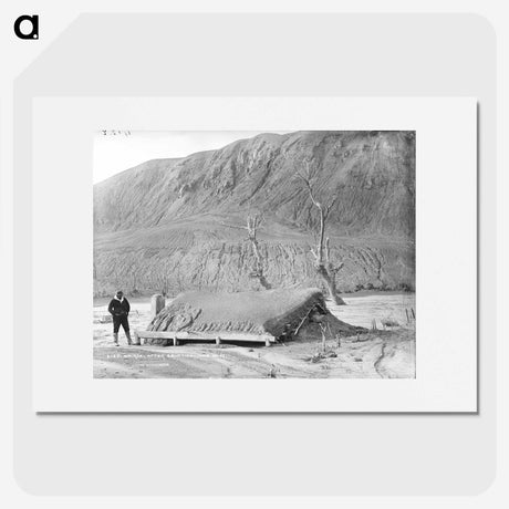 3-12_The-Burton-Brothers_picture