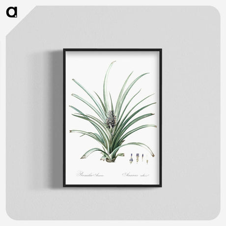 3-12_The-Lilies_blk-crop