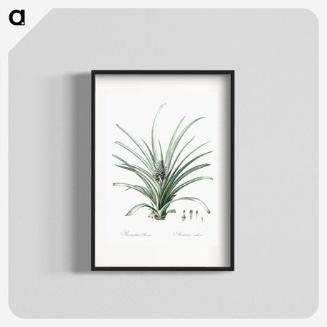 3-12_The-Lilies_blk