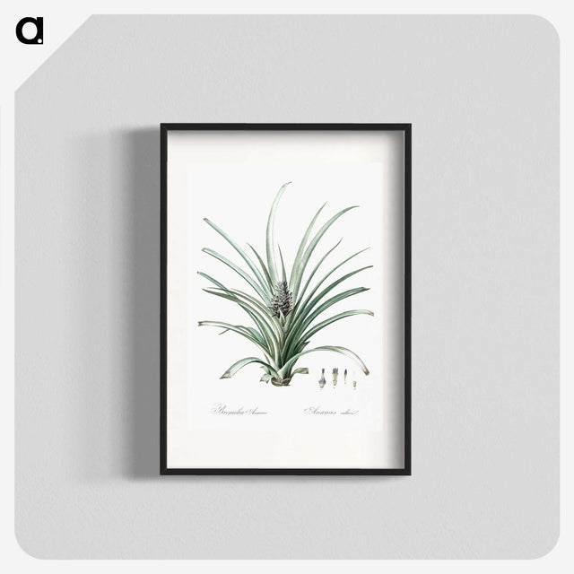 3-12_The-Lilies_blk