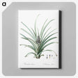 3-12_The-Lilies_canvas