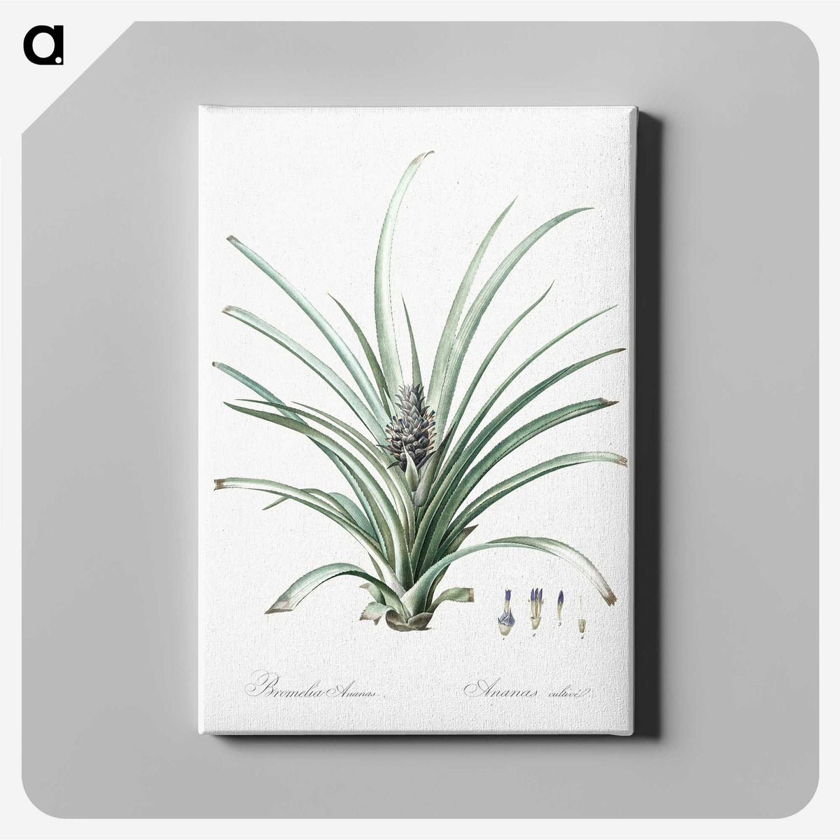 3-12_The-Lilies_canvas