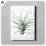 3-12_The-Lilies_canvas