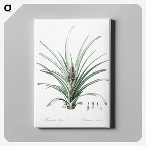 3-12_The-Lilies_canvas