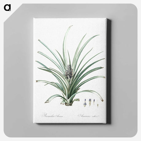 3-12_The-Lilies_canvas