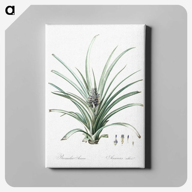 3-12_The-Lilies_canvas