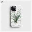 3-12_The-Lilies_phone