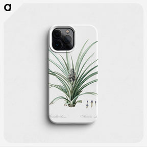 3-12_The-Lilies_phone