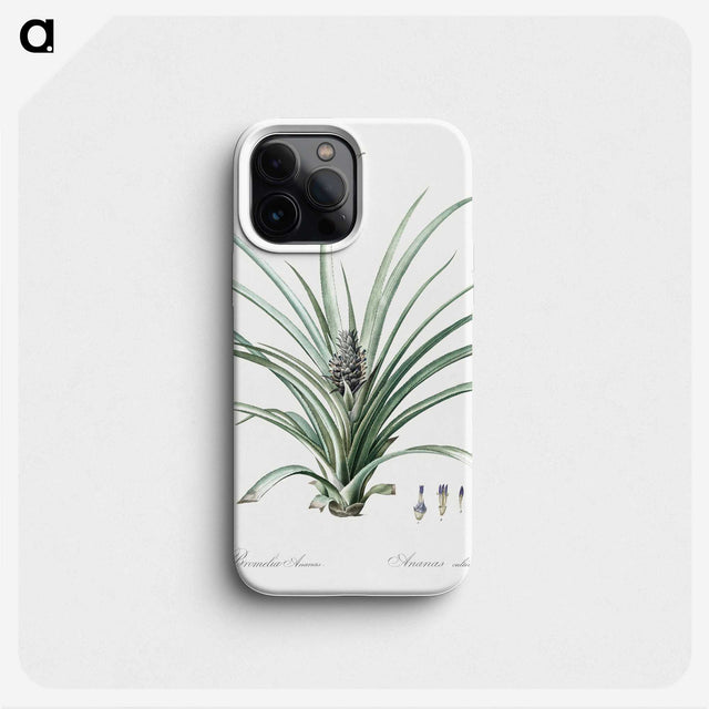 3-12_The-Lilies_phone
